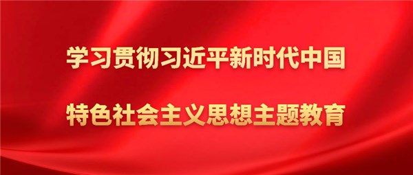 學(xué)習(xí)貫徹習(xí)近平新時(shí)代中國(guó)特色社會(huì)主義思想主題教育